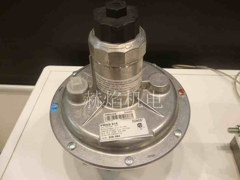 FRNGϵ���㉺�y ��(Dungs)��˹